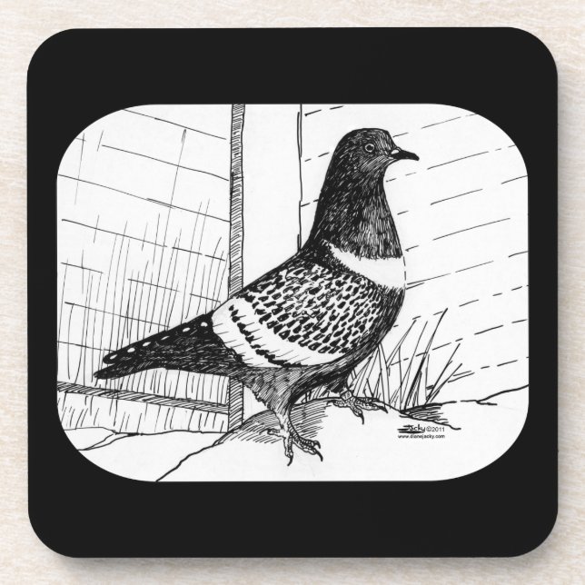 Starling Pigeon 1973 Coaster (Front)