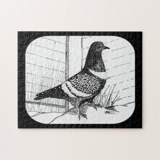 Starling Pigeon 1973 Jigsaw Puzzle
