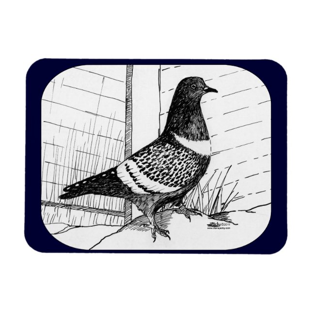 Starling Pigeon 1973 Magnet (Horizontal)