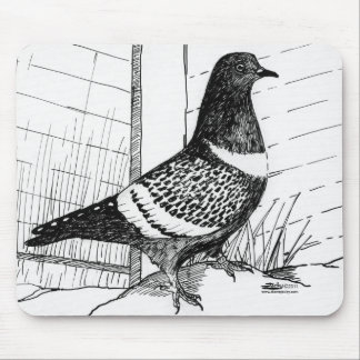 Starling Pigeon 1973 Mouse Pad