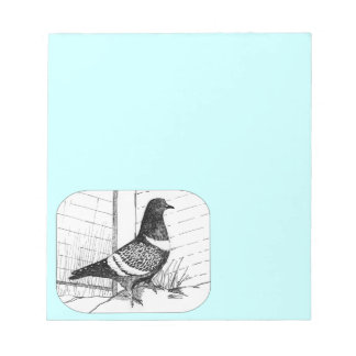 Starling Pigeon 1973 Notepad