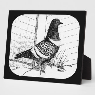 Starling Pigeon 1973 Plaque