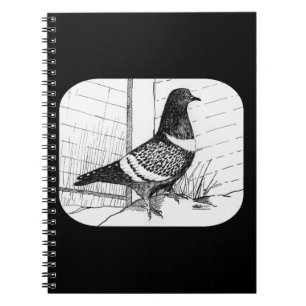 Starling Pigeon 1973 Spiral Notebook