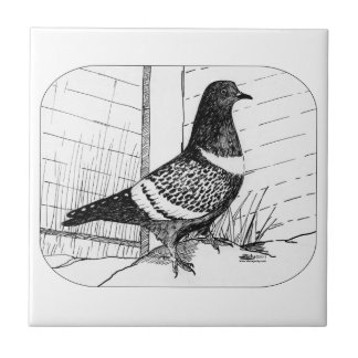 Starling Pigeon 1973 Tile