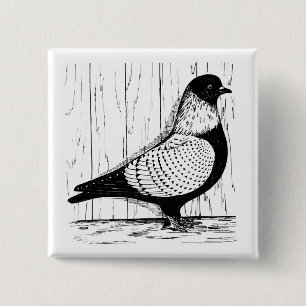 Starling Pigeon Silver-laced 1979 15 Cm Square Badge