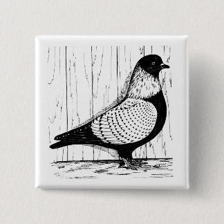 Starling Pigeon Silver-laced 1979 15 Cm Square Badge