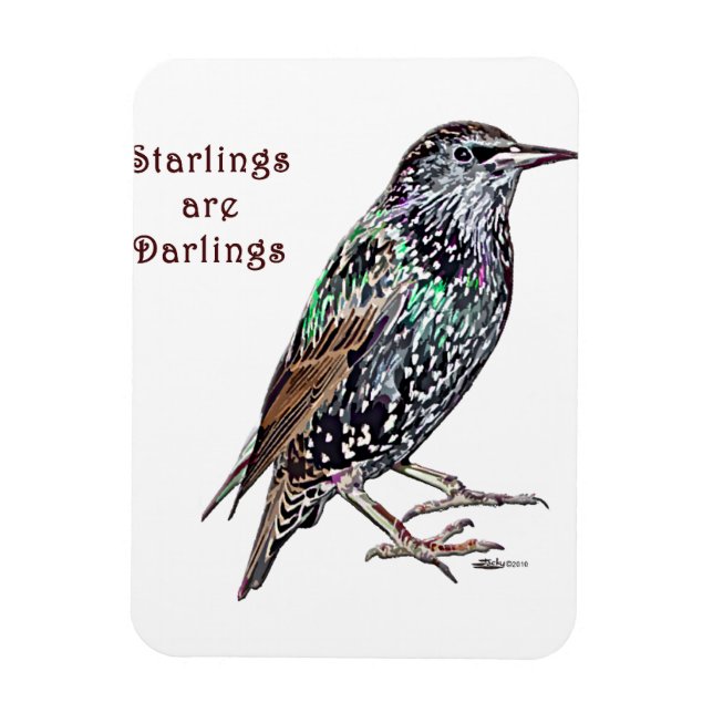Starlings Are Darlings Magnet (Vertical)