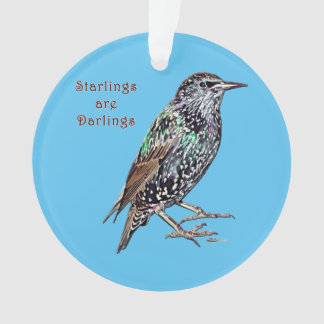 Starlings Are Darlings Ornament
