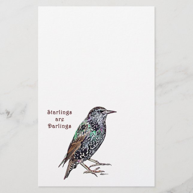 Starlings Are Darlings Stationery (Front)