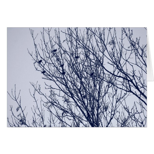 Starlings in a Tree (Front Horizontal)