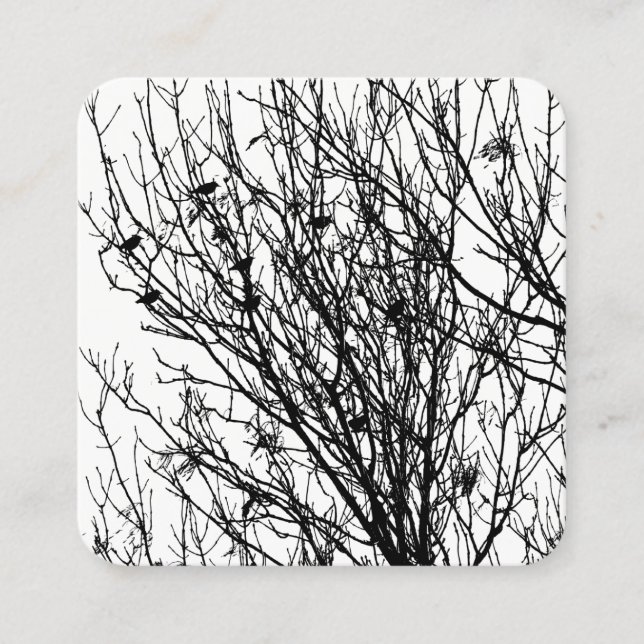 Starlings in a Tree - Black on White Square Business Card (Front)