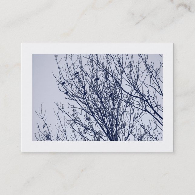 Starlings in a Tree (Bordered) Business Card (Front)