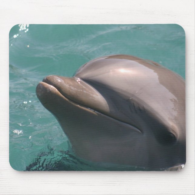 Starring a Dolphin Mouse Pad (Front)