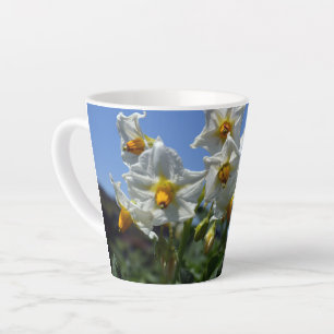Starry flowers Solanum tuberosum Latte Mug