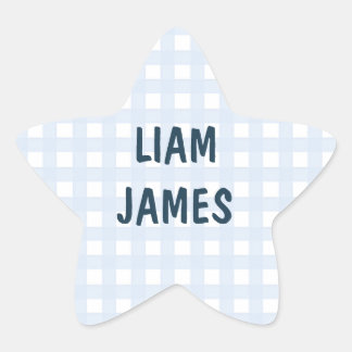 Starry Gingham Baby Boy Envelope Sticker
