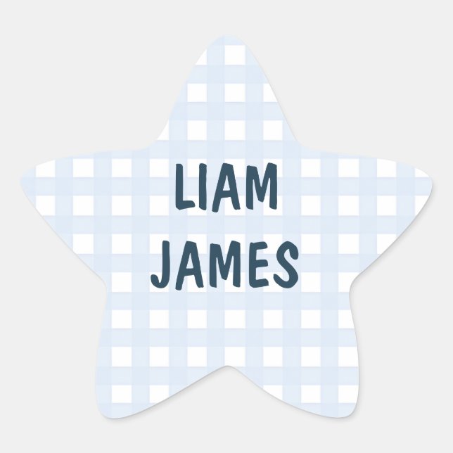 Starry Gingham Baby Boy Envelope Sticker (Front)