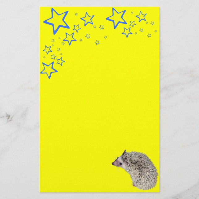 Starry Hedgehog Stationary Stationery (Front)