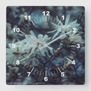 Starry Magnolia 3172 Square Wall Clock
