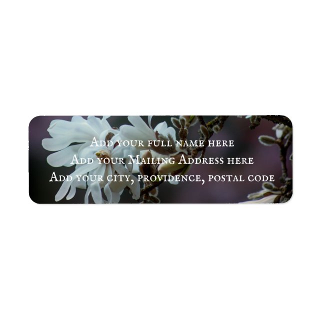 Starry Magnolia 5780 (Front)