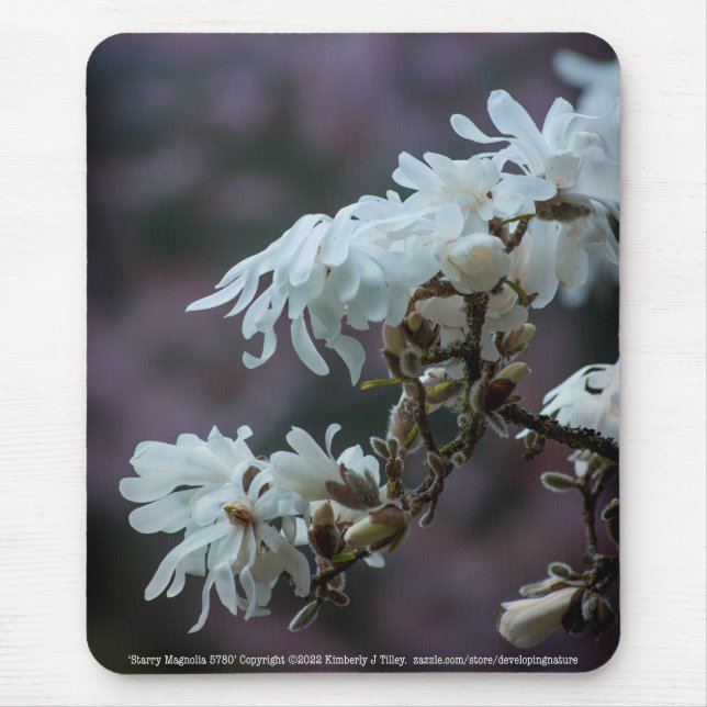 Starry Magnolia 5780 Mouse Pad (Front)