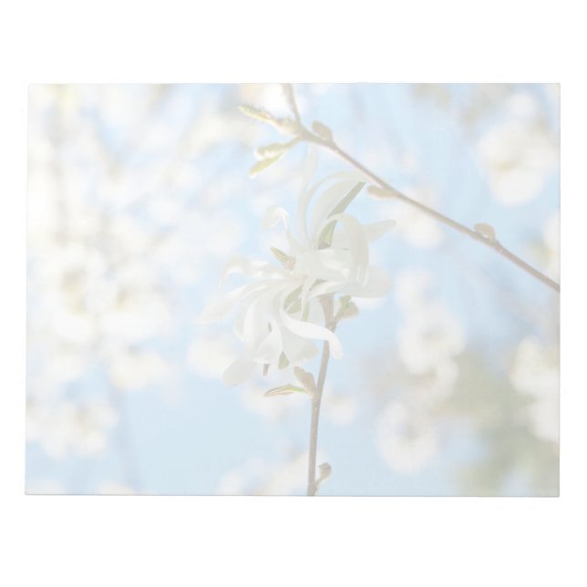 Starry Magnolia 6490 Notepad (Front)
