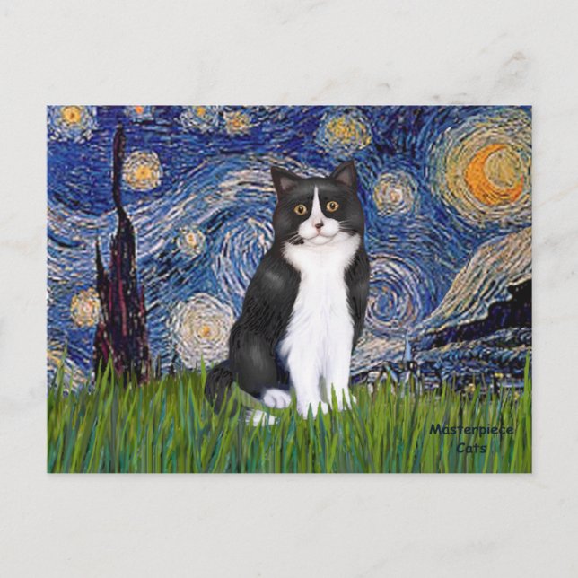 Starry Night - Black and White Cat Postcard (Front)