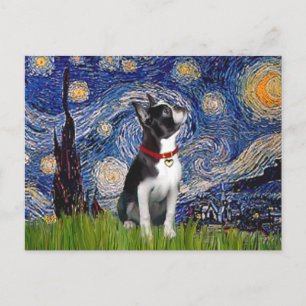 Starry Night - Boston T (2rc) Postcard