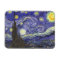 Starry Night by Vincent van Gogh