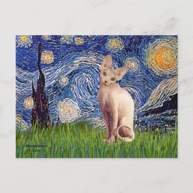 Starry Night - Cream Sphynx Cat Postcard (Front)