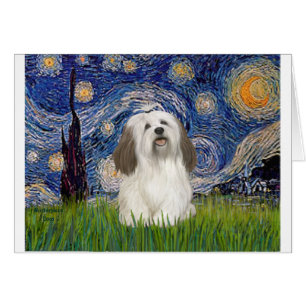 Starry Night - Havanese (#1)
