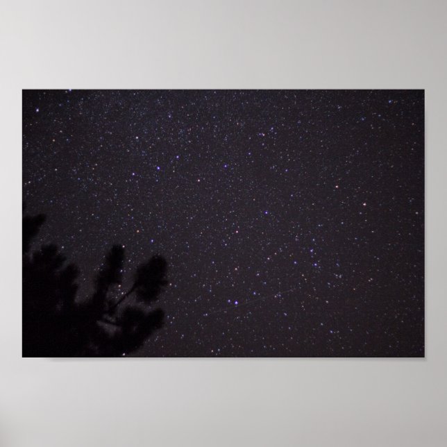 Starry Night, Michigan Poster (Front)