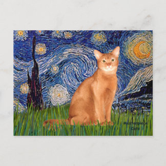 Starry Night - Red Abyssinian Postcard