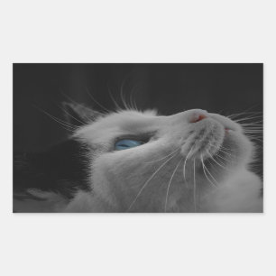 Starry night sky black & white cat with blue eyes rectangular sticker