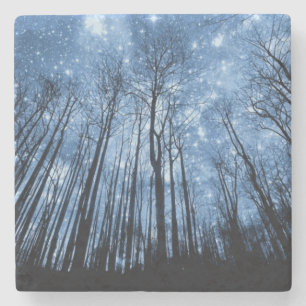 Starry Night Stone Coaster
