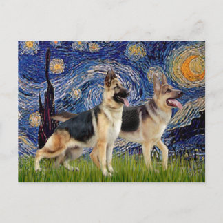 Starry Night - Two German Shepherds Postcard