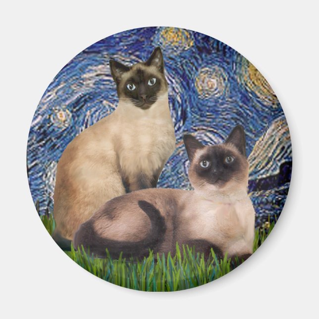Starry Night - Two Siamese cats (Choc Pt) Magnet (Front)
