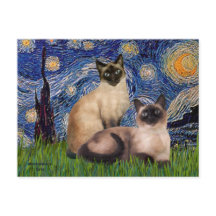 Starry Night - Two Siamese cats (Choc Pt)