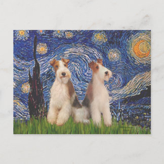Starry Night - Two Wire Fox Terriers Postcard