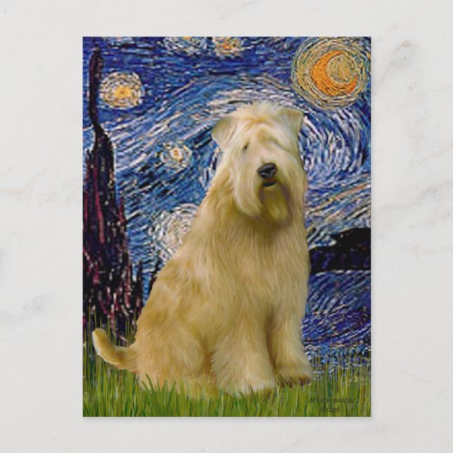 Starry Night (V) - Wheaten Terrier Postcard (Front)