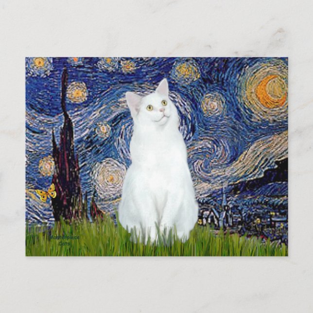 Starry Night - White cat Postcard (Front)