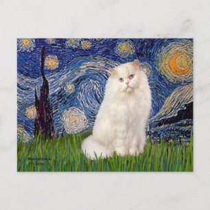 Starry Night - White Persian cat Postcard