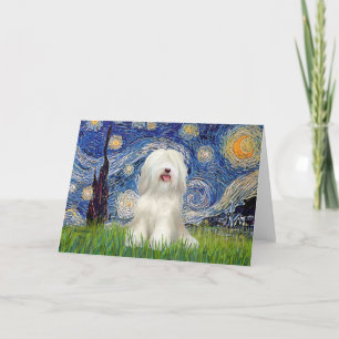 Starry Night — White Tibetan Terrier Card