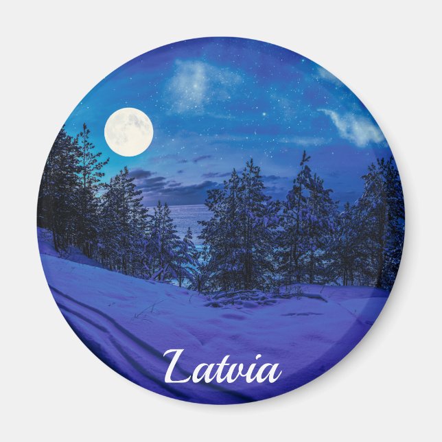Starry night with full moon in forest magnet (Front)