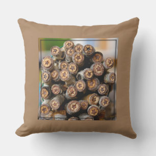 Stars along the Rio Grande Cotton Wood Trees Cushion