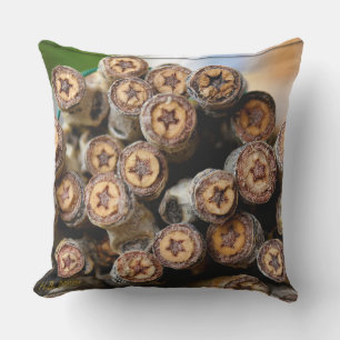 Stars along the Rio Grande Cotton Wood Trees Cushion