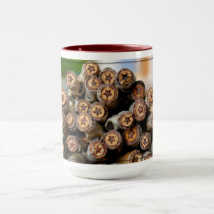 Stars along the Rio Grande Cotton Wood Trees Mug