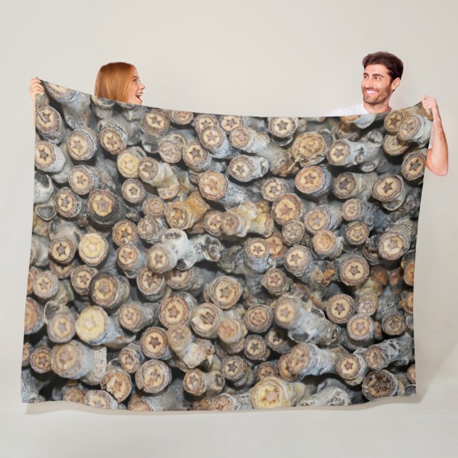 Stars along the Rio Grande Cotton Wood Trees Talki Fleece Blanket (In Situ)