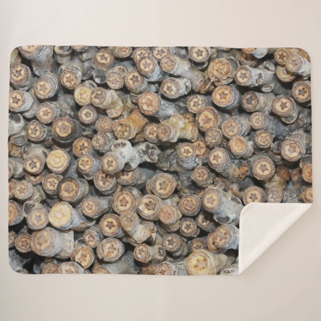 Stars along the Rio Grande Cotton Wood Trees Talki Sherpa Blanket (Front (Horizontal))