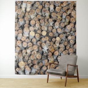Stars along the Rio Grande Cotton Wood Trees Talki Tapestry