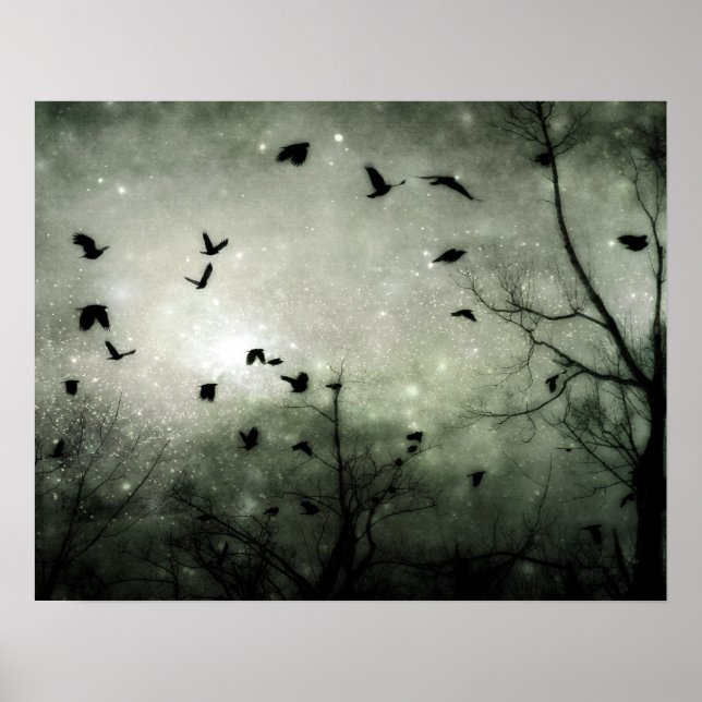 Stars and Crows Collide Poster (Front)